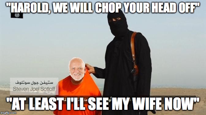isis member with harold | "HAROLD, WE WILL CHOP YOUR HEAD OFF"; "AT LEAST I'LL SEE MY WIFE NOW" | image tagged in isis member with harold | made w/ Imgflip meme maker