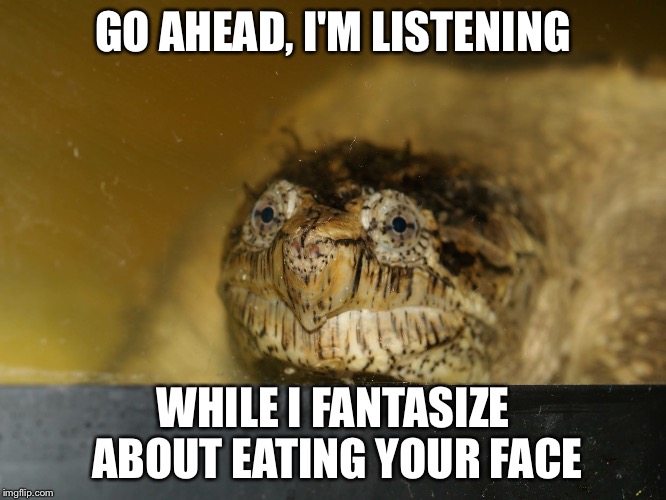 GO AHEAD, I'M LISTENING; WHILE I FANTASIZE ABOUT EATING YOUR FACE | image tagged in friends,turtles,sarcasm,funny | made w/ Imgflip meme maker