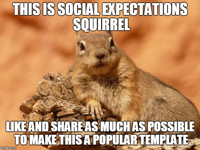 Social Expectations Squirrel | THIS IS SOCIAL EXPECTATIONS SQUIRREL; LIKE AND SHARE AS MUCH AS POSSIBLE TO MAKE THIS A POPULAR TEMPLATE | image tagged in social expectations squirrel | made w/ Imgflip meme maker