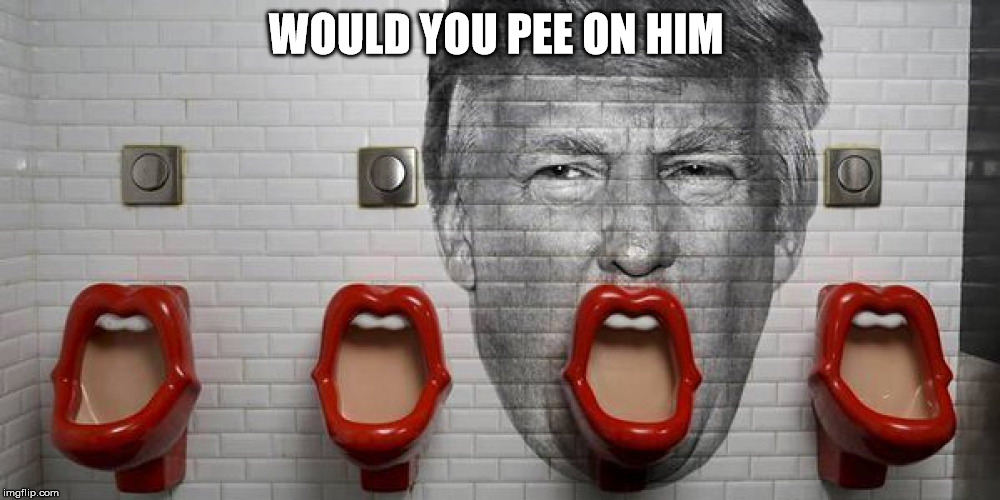 WOULD YOU PEE ON HIM | made w/ Imgflip meme maker