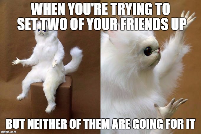 Persian Cat Room Guardian | WHEN YOU'RE TRYING TO SET TWO OF YOUR FRIENDS UP; BUT NEITHER OF THEM ARE GOING FOR IT | image tagged in persian cat room guardian | made w/ Imgflip meme maker