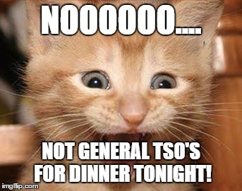 Excited Cat Meme | NOOOOOO.... NOT GENERAL TSO'S FOR DINNER TONIGHT! | image tagged in memes,excited cat | made w/ Imgflip meme maker