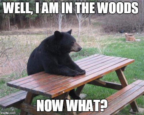 City Bear | WELL, I AM IN THE WOODS; NOW WHAT? | image tagged in memes,bad luck bear | made w/ Imgflip meme maker