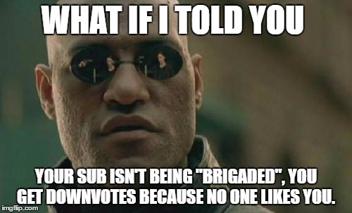 Matrix Morpheus | WHAT IF I TOLD YOU; YOUR SUB ISN'T BEING "BRIGADED", YOU GET DOWNVOTES BECAUSE NO ONE LIKES YOU. | image tagged in memes,matrix morpheus | made w/ Imgflip meme maker