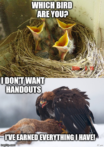 F**k Berie Sanders | WHICH BIRD ARE YOU? I DON'T WANT HANDOUTS; I'VE EARNED EVERYTHING I HAVE! | image tagged in political | made w/ Imgflip meme maker
