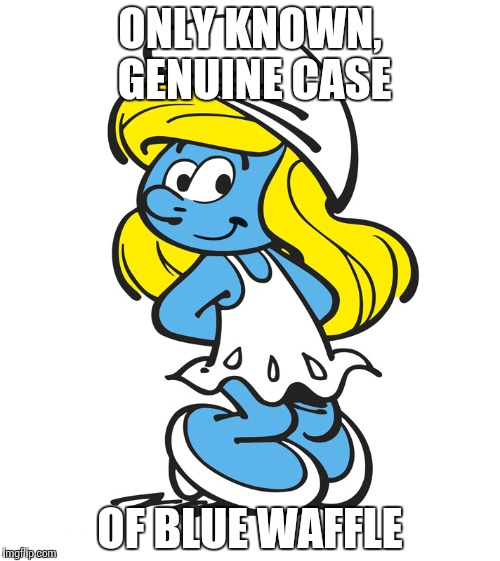 ONLY KNOWN, GENUINE CASE OF BLUE WAFFLE | made w/ Imgflip meme maker