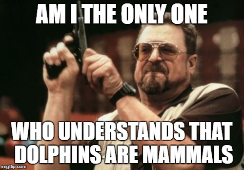 Am I The Only One Around Here Meme | AM I THE ONLY ONE WHO UNDERSTANDS THAT DOLPHINS ARE MAMMALS | image tagged in memes,am i the only one around here | made w/ Imgflip meme maker