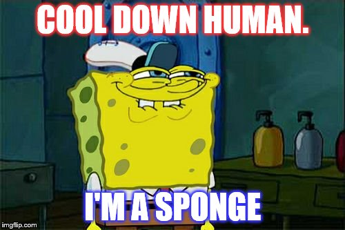 TOO SPONGEY FUR U? | COOL DOWN HUMAN. I'M A SPONGE | image tagged in memes,dont you squidward | made w/ Imgflip meme maker