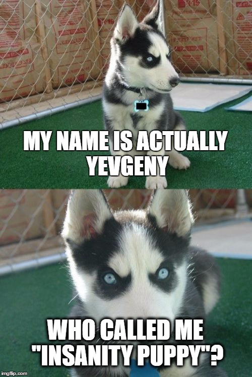 Don't Call Him Names | MY NAME IS ACTUALLY YEVGENY; WHO CALLED ME "INSANITY PUPPY"? | image tagged in memes,insanity puppy | made w/ Imgflip meme maker