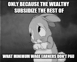 ONLY BECAUSE THE WEALTHY SUBSIDIZE THE REST OF WHAT MINIMUM WAGE EARNERS DON'T PAU | made w/ Imgflip meme maker