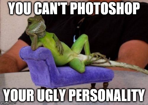 Sucks to be you |  YOU CAN'T PHOTOSHOP; YOUR UGLY PERSONALITY | image tagged in memes,sassy iguana | made w/ Imgflip meme maker