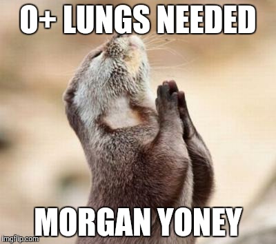 Lord please give me strength | O+ LUNGS NEEDED; MORGAN YONEY | image tagged in lord please give me strength | made w/ Imgflip meme maker