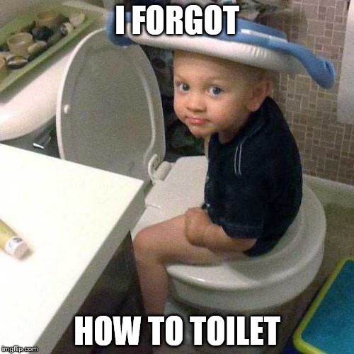 Potty training is a two way street. You have to have a kid who is intelligent enough to put his butt in the right place. | I FORGOT; HOW TO TOILET | image tagged in memes | made w/ Imgflip meme maker