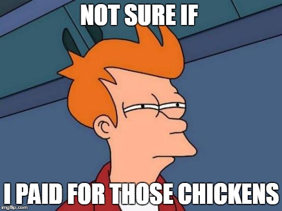 Futurama Fry | NOT SURE IF; I PAID FOR THOSE CHICKENS | image tagged in memes,futurama fry | made w/ Imgflip meme maker