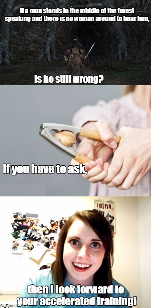 A story old as time | If a man stands in the middle of the forest speaking and there is no woman around to hear him, is he still wrong? If you have to ask, then I look forward to your accelerated training! | image tagged in funny,memes | made w/ Imgflip meme maker