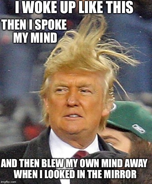 Donald Trumph hair | I WOKE UP LIKE THIS; THEN I SPOKE MY MIND; AND THEN BLEW MY OWN MIND AWAY WHEN I LOOKED IN THE MIRROR | image tagged in donald trumph hair | made w/ Imgflip meme maker