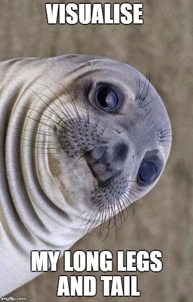 VISUALISE MY LONG LEGS AND TAIL | image tagged in memes,awkward moment sealion | made w/ Imgflip meme maker