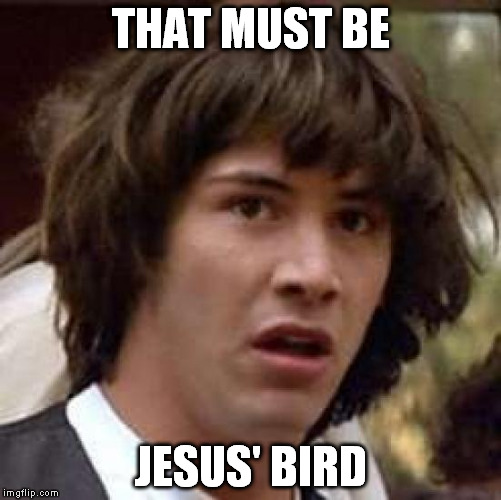 Conspiracy Keanu Meme | THAT MUST BE JESUS' BIRD | image tagged in memes,conspiracy keanu | made w/ Imgflip meme maker