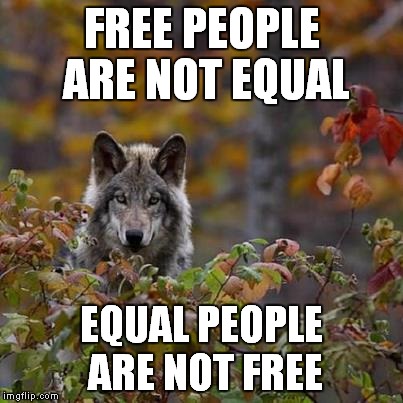 Equal | FREE PEOPLE ARE NOT EQUAL; EQUAL PEOPLE ARE NOT FREE | image tagged in freedom | made w/ Imgflip meme maker
