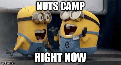 Excited Minions Meme | NUTS CAMP; RIGHT NOW | image tagged in memes,excited minions | made w/ Imgflip meme maker