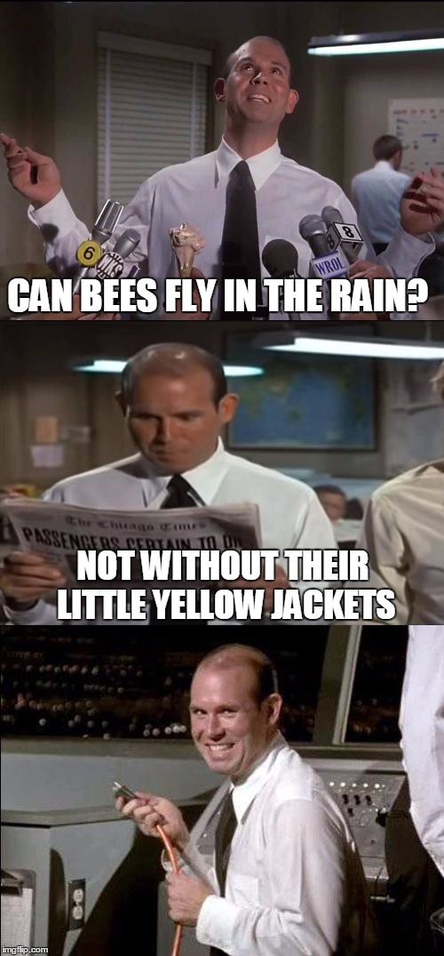 Bad Pun Johnny | CAN BEES FLY IN THE RAIN? NOT WITHOUT THEIR LITTLE YELLOW JACKETS | image tagged in airplane johnny,memes | made w/ Imgflip meme maker