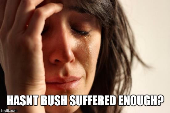 First World Problems Meme | HASNT BUSH SUFFERED ENOUGH? | image tagged in memes,first world problems | made w/ Imgflip meme maker