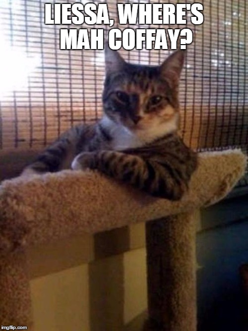 cats | LIESSA, WHERE'S MAH COFFAY? | image tagged in cats | made w/ Imgflip meme maker