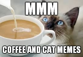 MMM COFFEE AND CAT MEMES | made w/ Imgflip meme maker