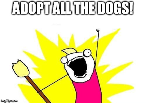 X All The Y Meme | ADOPT ALL THE DOGS! | image tagged in memes,x all the y | made w/ Imgflip meme maker