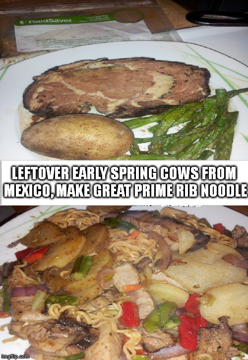 Because of North America's farmland distribution, Mexican Catholics provide Easter Beef. | LEFTOVER EARLY SPRING COWS FROM MEXICO, MAKE GREAT PRIME RIB NOODLE | image tagged in easter,catholic,mexican,america,food,memes | made w/ Imgflip meme maker