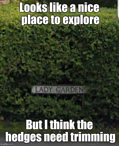 Its another term for a vagina, in case you was wondering | Looks like a nice place to explore; But I think the hedges need trimming | image tagged in the lady garden,vagina,women,mary | made w/ Imgflip meme maker