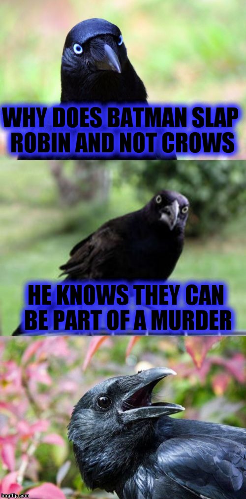 Have to credit Lynch1979 for this idea :) | WHY DOES BATMAN SLAP ROBIN AND NOT CROWS; HE KNOWS THEY CAN BE PART OF A MURDER | image tagged in bad pun crow,bad puns,funny memes,original meme | made w/ Imgflip meme maker