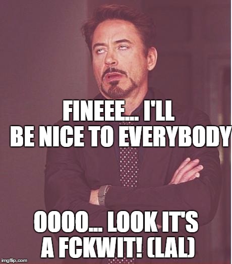 Face You Make Robert Downey Jr Meme | FINEEE... I'LL BE NICE TO EVERYBODY; OOOO... LOOK IT'S A FCKWIT! (LAL) | image tagged in memes,face you make robert downey jr | made w/ Imgflip meme maker