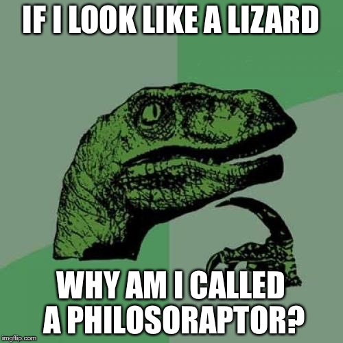 Philosoraptor | IF I LOOK LIKE A LIZARD; WHY AM I CALLED A PHILOSORAPTOR? | image tagged in memes,philosoraptor | made w/ Imgflip meme maker