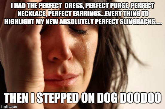 First World Problems | I HAD THE PERFECT  DRESS, PERFECT PURSE, PERFECT NECKLACE, PERFECT EARRINGS...EVERY THING TO HIGHLIGHT MY NEW ABSOLUTELY PERFECT SLINGBACKS..... THEN I STEPPED ON DOG DOODOO | image tagged in memes,first world problems | made w/ Imgflip meme maker