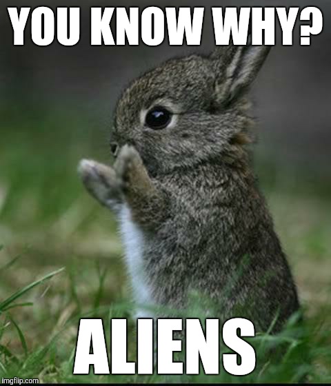 Cute Bunny | YOU KNOW WHY? ALIENS | image tagged in cute bunny | made w/ Imgflip meme maker