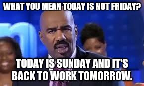 Steve Harvey | WHAT YOU MEAN TODAY IS NOT FRIDAY? TODAY IS SUNDAY AND IT'S BACK TO WORK TOMORROW. | image tagged in steve harvey | made w/ Imgflip meme maker