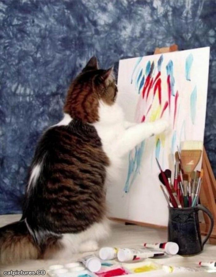 High Quality Art Cat Blank Meme Template