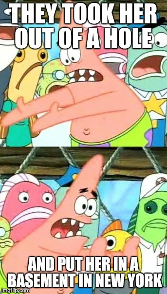 Put It Somewhere Else Patrick Meme | THEY TOOK HER OUT OF A HOLE AND PUT HER IN A BASEMENT IN NEW YORK | image tagged in memes,put it somewhere else patrick | made w/ Imgflip meme maker