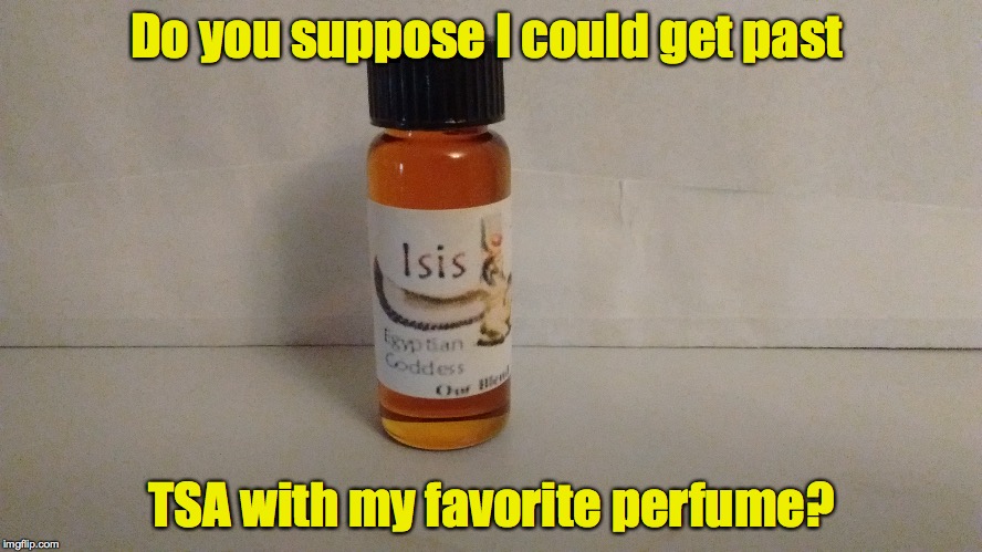 It's less than 3 ounces... | Do you suppose I could get past; TSA with my favorite perfume? | image tagged in tsa,perfume | made w/ Imgflip meme maker