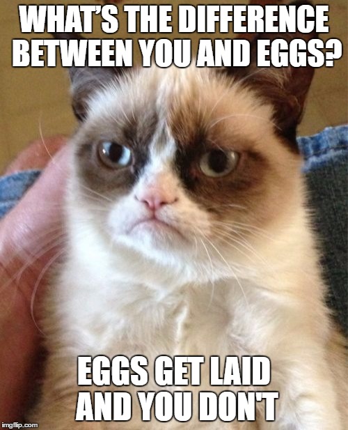 grumpy cat and eggs  | WHAT’S THE DIFFERENCE BETWEEN YOU AND EGGS? EGGS GET LAID AND YOU DON'T | image tagged in memes,grumpy cat | made w/ Imgflip meme maker