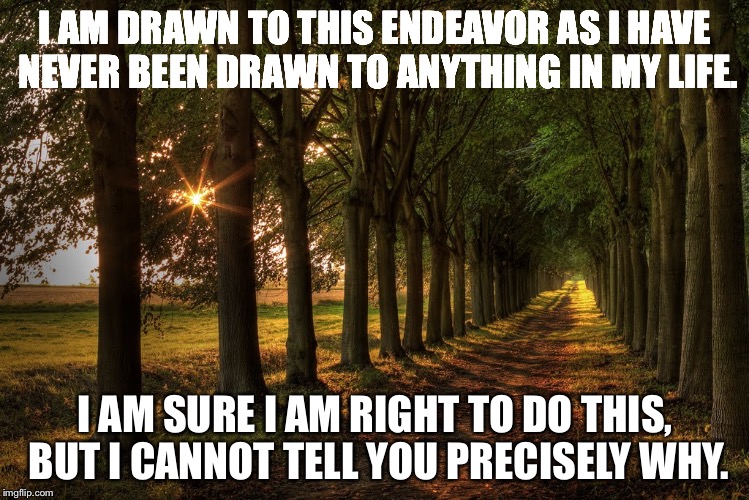 I AM DRAWN TO THIS ENDEAVOR AS I HAVE NEVER BEEN DRAWN TO ANYTHING IN MY LIFE. I AM SURE I AM RIGHT TO DO THIS, BUT I CANNOT TELL YOU PRECISELY WHY. | image tagged in september scenery | made w/ Imgflip meme maker