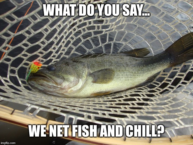 Bass | WHAT DO YOU SAY... WE NET FISH AND CHILL? | image tagged in bass meme,netflix and chill,bass,largemouth,fishing | made w/ Imgflip meme maker