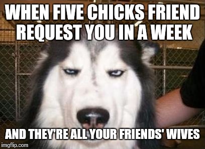 Sorry ladies, I don't know & I don't care what you heard about me, I'm a firm believer in Bro Code. | WHEN FIVE CHICKS FRIEND REQUEST YOU IN A WEEK; AND THEY'RE ALL YOUR FRIENDS' WIVES | image tagged in skeptical dog | made w/ Imgflip meme maker
