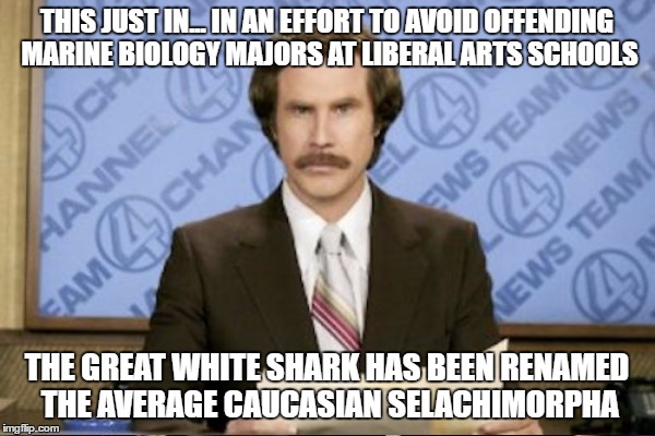 next on the list of names to be changed because they project an air of offensive white privilege is the white bengal tiger | THIS JUST IN... IN AN EFFORT TO AVOID OFFENDING MARINE BIOLOGY MAJORS AT LIBERAL ARTS SCHOOLS; THE GREAT WHITE SHARK HAS BEEN RENAMED THE AVERAGE CAUCASIAN SELACHIMORPHA | image tagged in ron burgundy,this just in,white privilege,college liberal | made w/ Imgflip meme maker