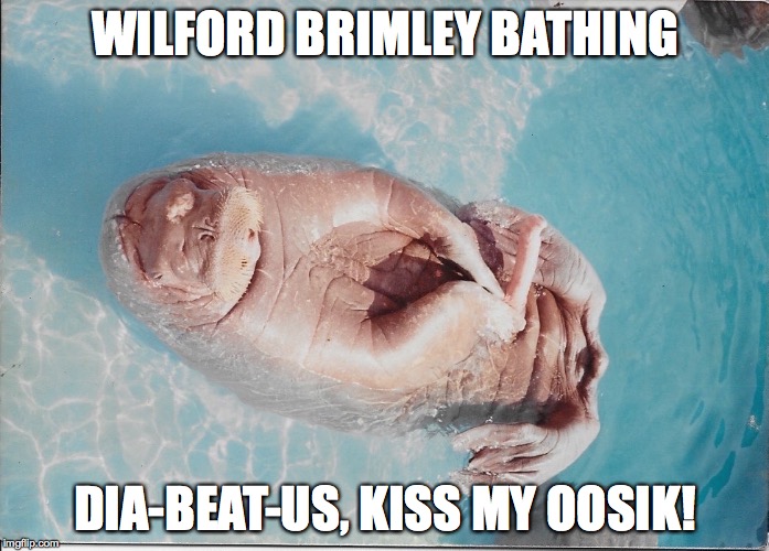 Wilford Brimley | WILFORD BRIMLEY BATHING; DIA-BEAT-US, KISS MY OOSIK! | image tagged in diabetes | made w/ Imgflip meme maker
