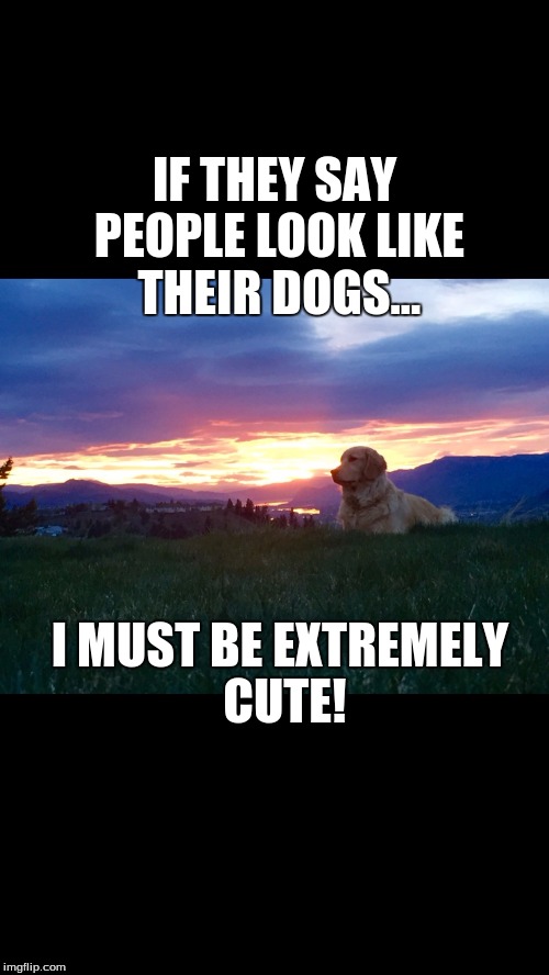 Tessa, you are the best. | IF THEY SAY PEOPLE LOOK LIKE THEIR DOGS... I MUST BE EXTREMELY CUTE! | image tagged in dogs,awesome,amazing,beautiful | made w/ Imgflip meme maker