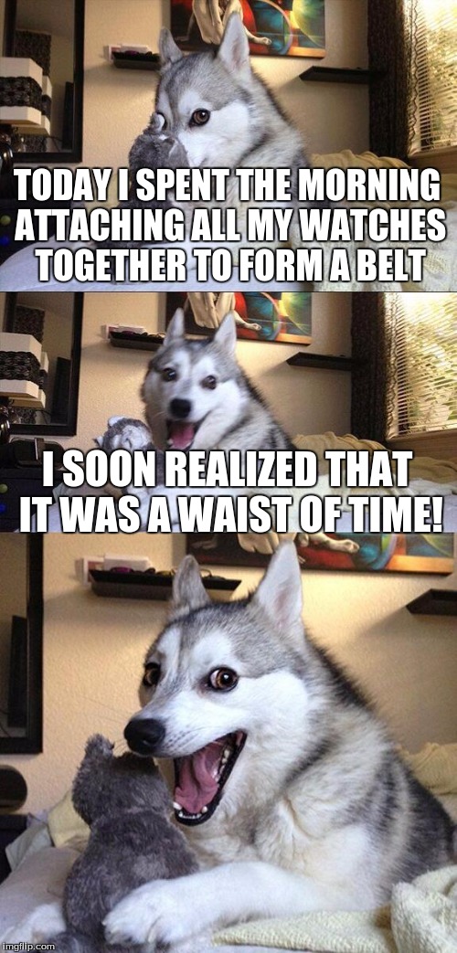 Bad Pun Dog Meme | TODAY I SPENT THE MORNING ATTACHING ALL MY WATCHES TOGETHER TO FORM A BELT; I SOON REALIZED THAT IT WAS A WAIST OF TIME! | image tagged in memes,bad pun dog | made w/ Imgflip meme maker