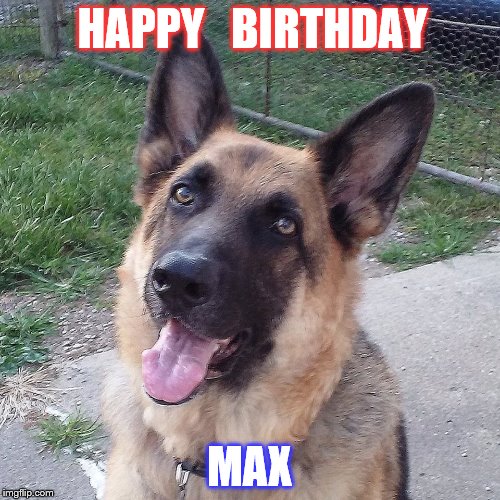Max Birthday | HAPPY   BIRTHDAY; MAX | image tagged in max | made w/ Imgflip meme maker