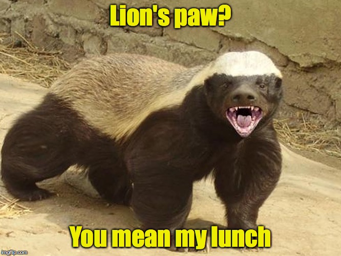 Lion's paw? You mean my lunch | made w/ Imgflip meme maker